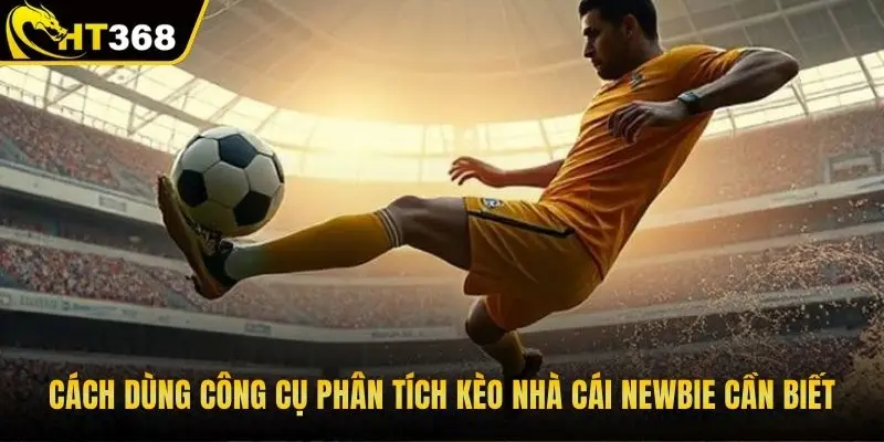 Cách dùng công cụ phân tích kèo nhà cái newbie cần biết 