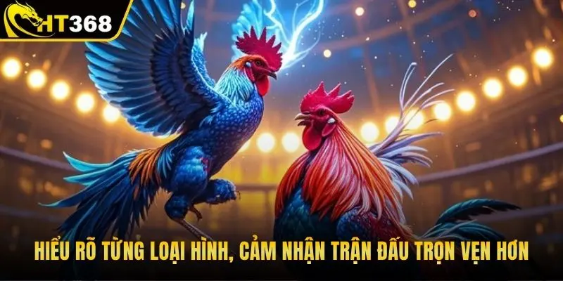 Hiểu rõ từng loại hình, cảm nhận trận đấu trọn vẹn hơn