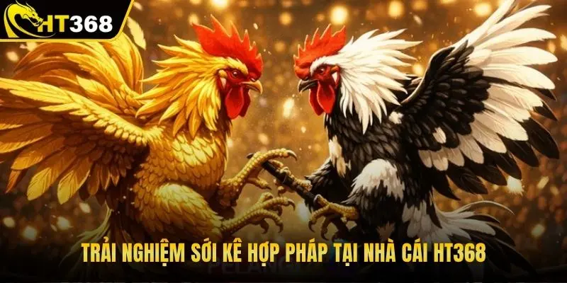 Trải nghiệm sới kê hợp pháp tại nhà cái HT368