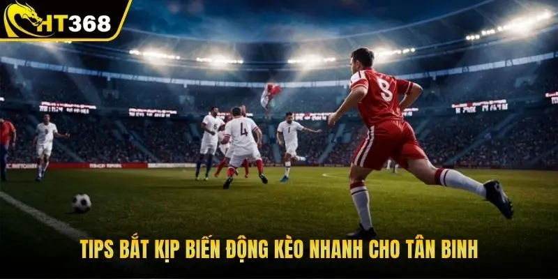 Tips bắt kịp biến động kèo nhanh cho tân binh
