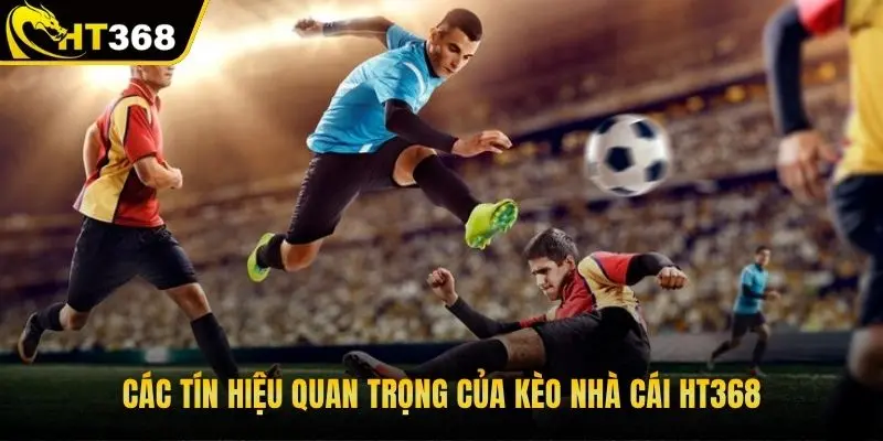Hiểu rõ về các tín hiệu quan trọng của kèo nhà cái HT368
